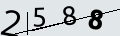 verifycode